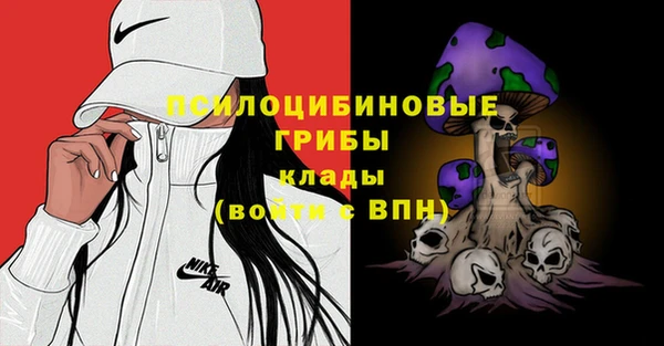 крисы Алексин