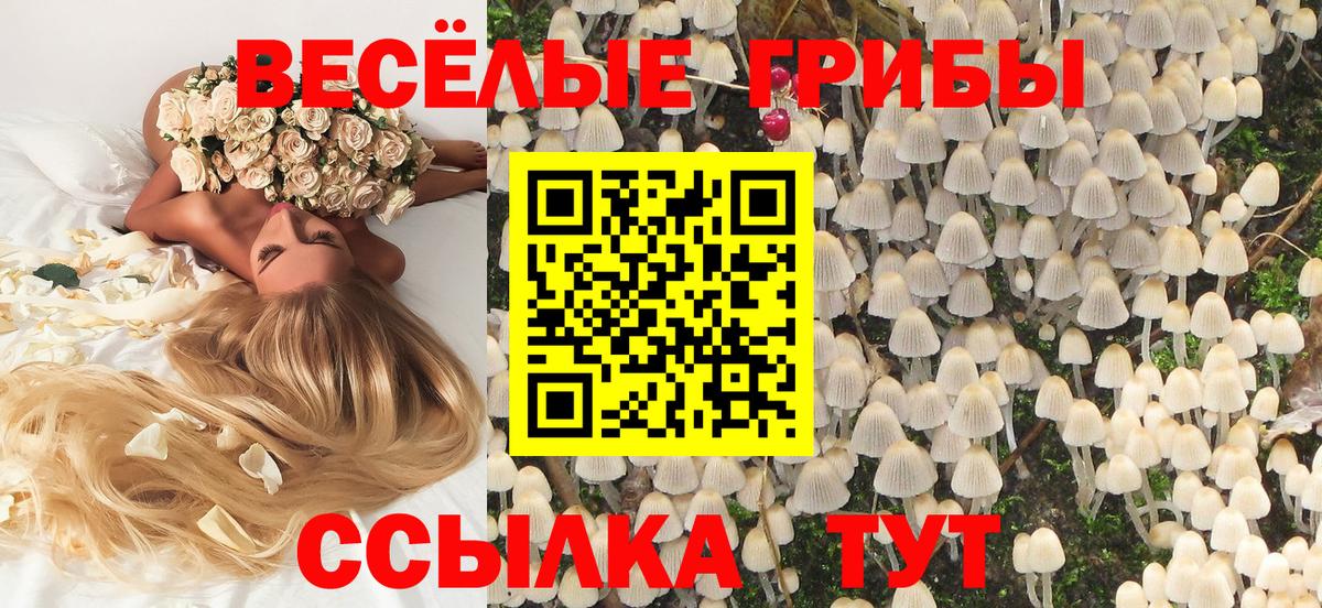 Галлюциногенные грибы Cubensis Михайловск