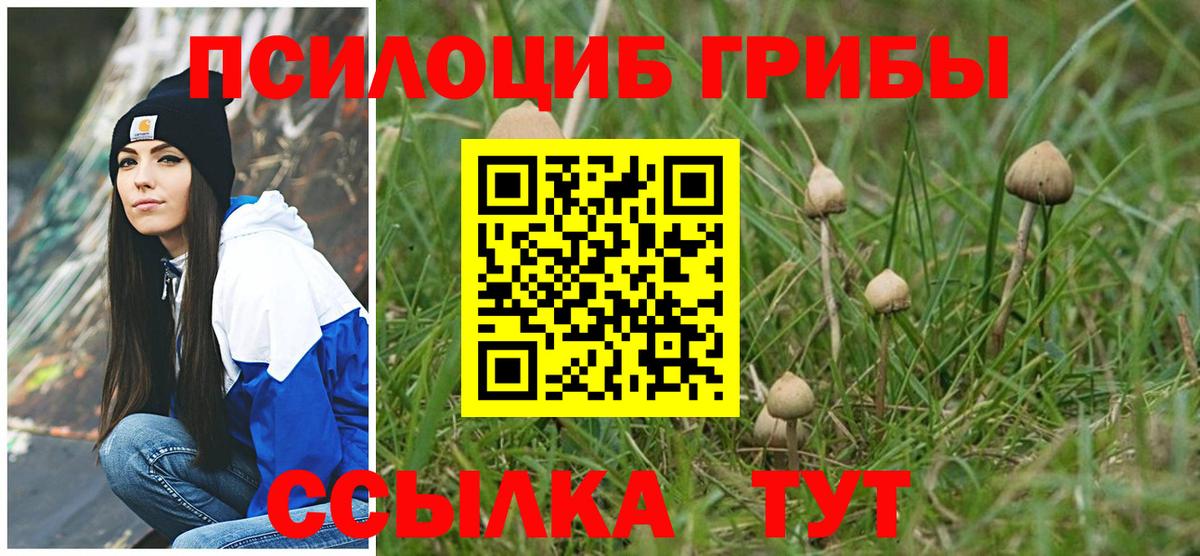 Псилоцибиновые грибы прущие грибы  Вход с VPN  наркота  Михайловск 